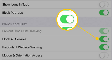 ipad security settings for Safari