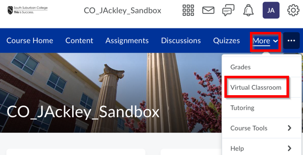 BrightSpace Pulse More Virtual Classroom