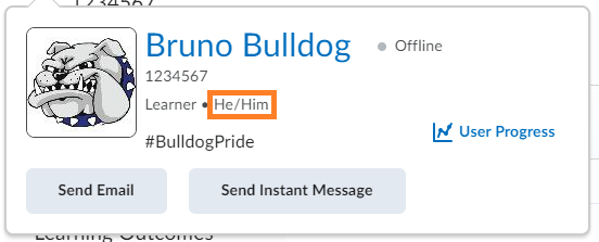 Bruno Bulldog's Profile Card