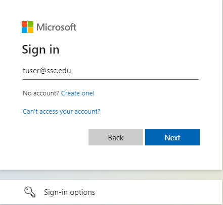 Screenshot of Microsoft login screen with a sample staff email address populated.