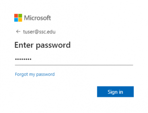 Screenshot of Microsoft password  screen with a sample populated.