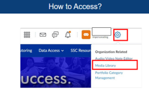 How to access D2L Media Library